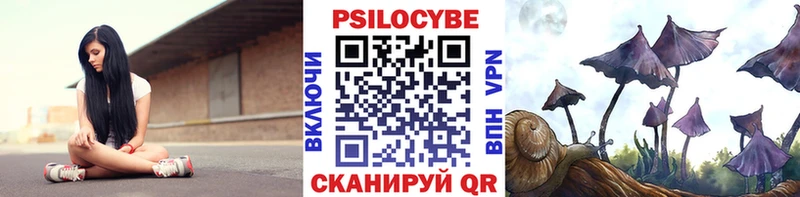 Псилоцибиновые грибы MAGIC MUSHROOMS  Купить закладки  Белоозёрский 